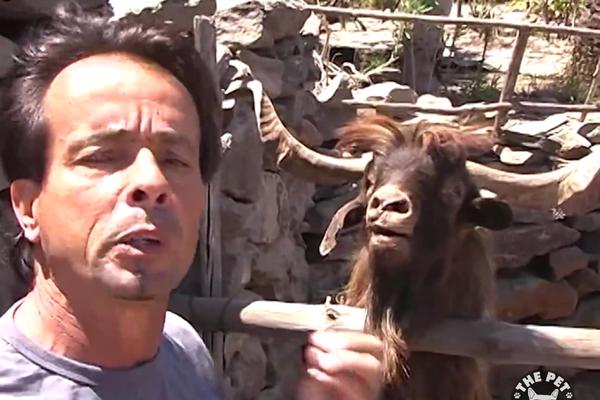 PUSTI ME NA MIRU, ČOVEČE: Milioni su se zagrcnuli od smeha gledajući ovaj video! (VIDEO)