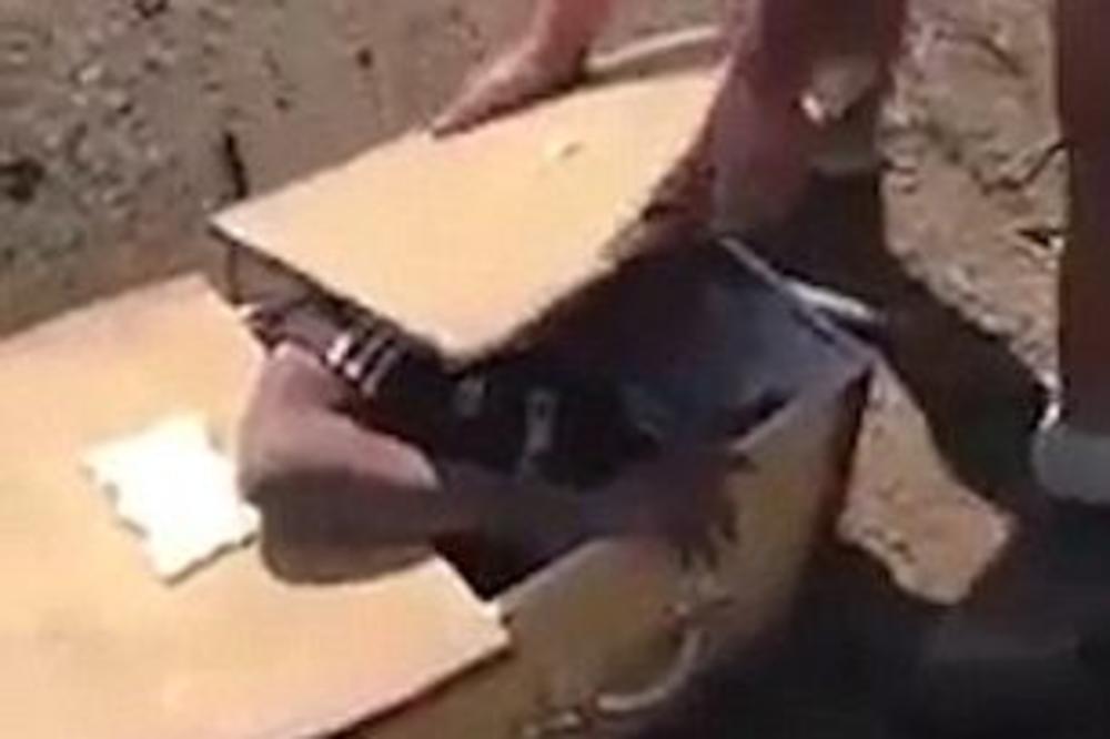 Zatvorio ga je u sanduk i pretio da će njima da nahrani zmije! (UZNEMIRIJUĆI VIDEO)