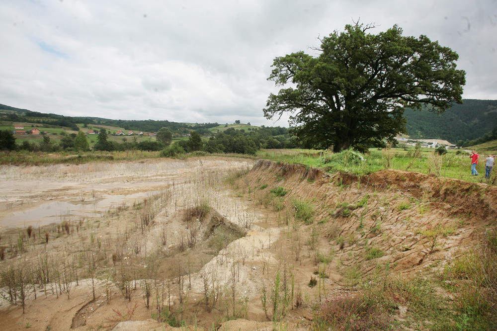 Sećate se hrasta starog 6 vekova koji je stradao zbog Koridora 11? Posečen je, a onda je usledila JOŠ JEDNA SRAMOTA