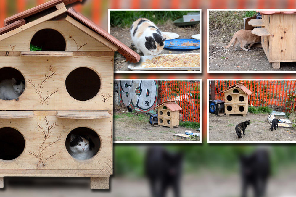 NAJDIVNIJE MESTAŠCE U CENTRU BG KOJI MNOGI NE PRIMETE: Ovaj megacar je pružio dom i hranu malim beskućnicima! (FOTO)