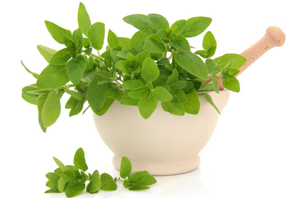 EVO KAKO SE PRAVI ULJE OD ORIGANA: Ovo su sastojci