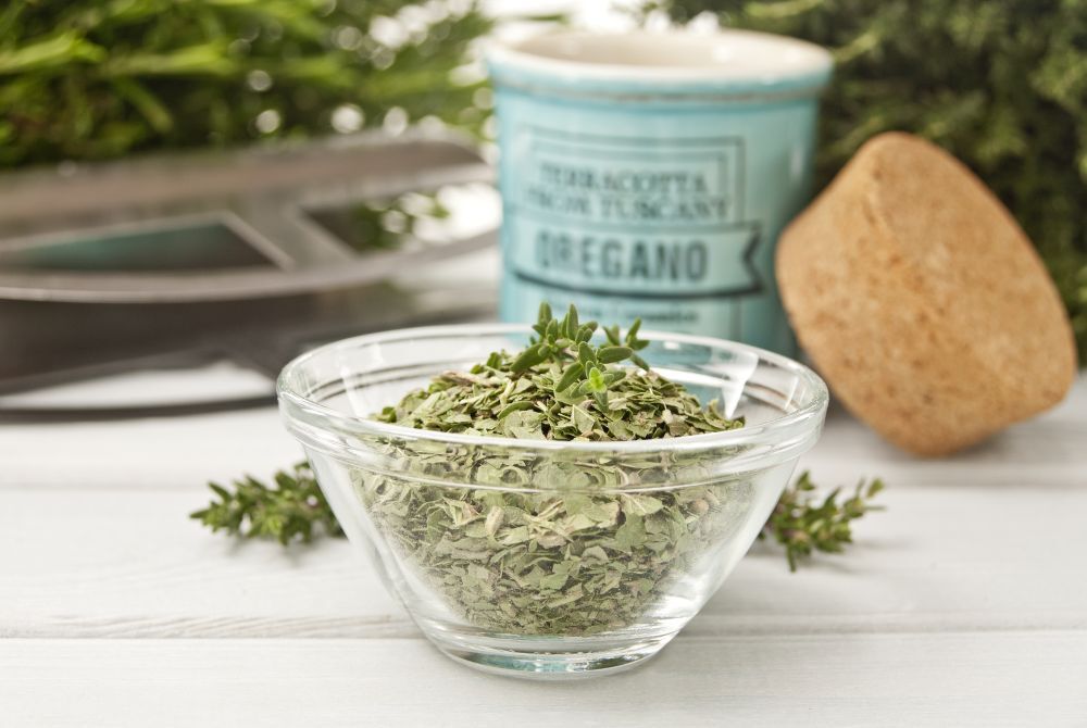 Origano  