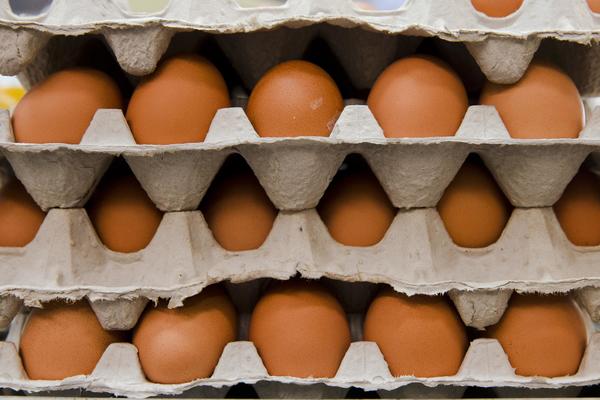OBDUKCIJSKI NALAZ: Dečak (5) se otrovao jajima iz Poljske i umro od salmonele!