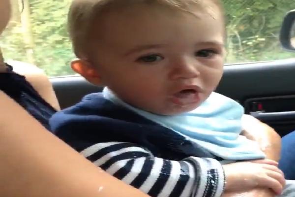 UOPŠTE MU SE NISU SVIDELI LAVOVI: Beba se strašno ispovraćala kad je videla kralja životinja (VIDEO)