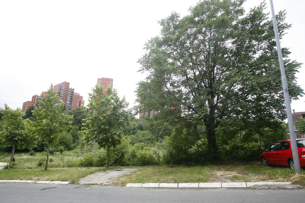BEOGRAĐANIN POBESNEO, PA KOMŠIJAMA OSTAVIO PORUKU SA UPOZORENJEM: Svi gledaju u neverici šta piše