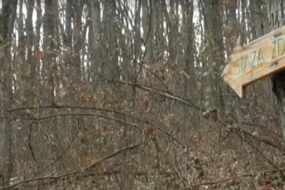 STAZA KOJU JE UTABAO PARTIJARH PAVLE ujedno je i staza zdravlja! Meštani veruju da šetnja njome leči! (VIDEO)