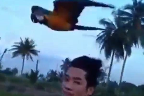 Vozio je motorče, a onda je dobio neočekivanog pratioca (VIDEO)