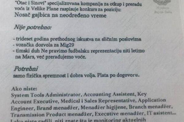 NE TREBA VAM TIMSKI DUH, NI 30 GODINA ISKUSTVA: Ovo je najjači oglas za posao u Srbiji! (FOTO)