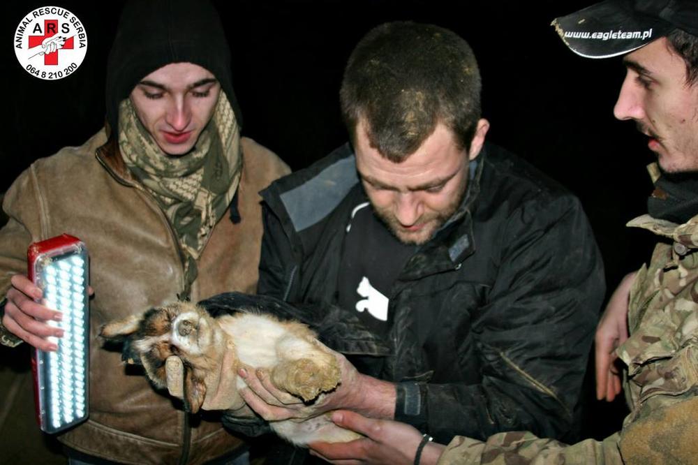 DRAMA NA MIRIJEVU: Nakon velike borbe ŠTENE spaseno iz RUPE duboke 12 METARA!