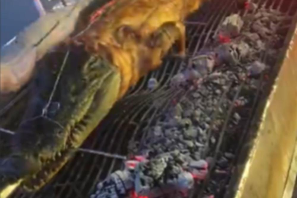 SAMO NA TAJLANDU: Šiš od krokodila i grilovana anakonda! (VIDEO)