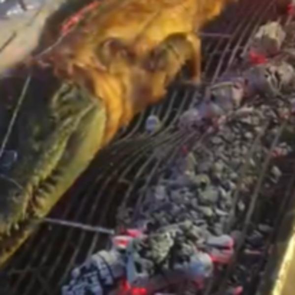 SAMO NA TAJLANDU: Šiš od krokodila i grilovana anakonda! (VIDEO)