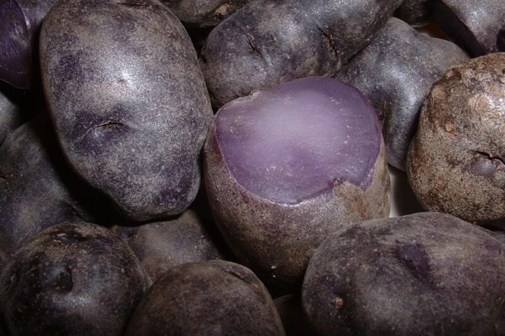 Obožavaćete ga. Potpuno nova i drugačija vrsta krompir zaludela Srbiju (FOTO)