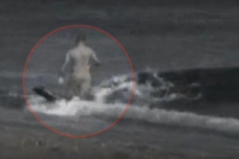 ORKE KITOVI NAPADAJU JAHTE, HOĆE SVE DA UNIŠTE: Otkriven RAZLOG njihovog ponašanja!