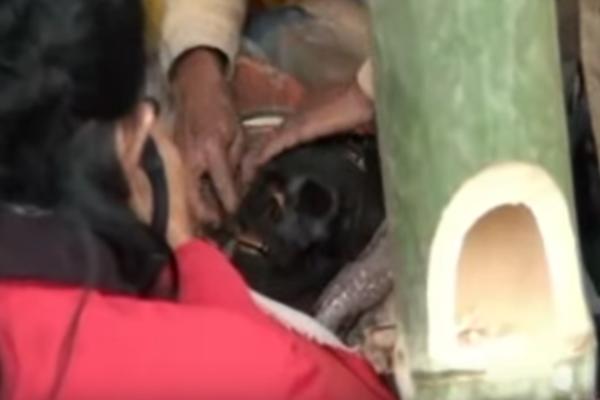 JEZIVO: Ovo su pravi Voking Dedovi, a i Voking Babe! (FOTO) (VIDEO)