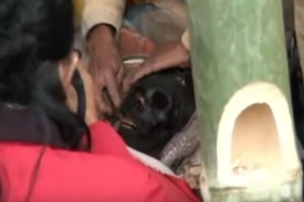 JEZIVO: Ovo su pravi Voking Dedovi, a i Voking Babe! (FOTO) (VIDEO)