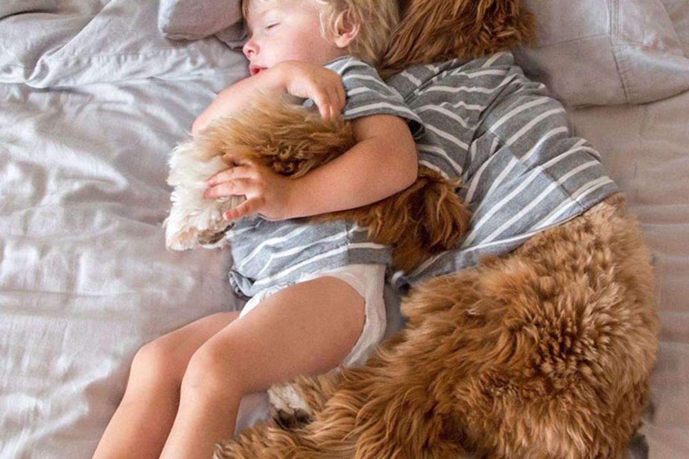 KAŽU DA SU SAMO TRI STVARI SU POTREBNE ZA ISTINSKU SREĆU: Proverite da li ih imate?