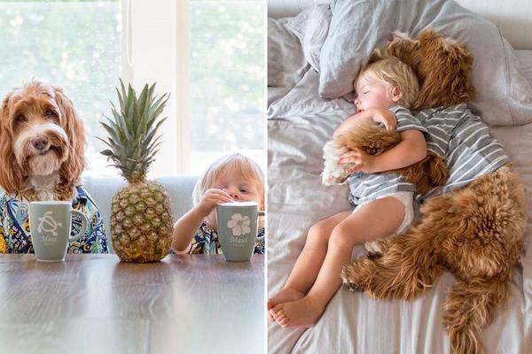 Najslađe prijateljstvo: 13 fotografija koje pokazuju šta je ljubav! (FOTO)