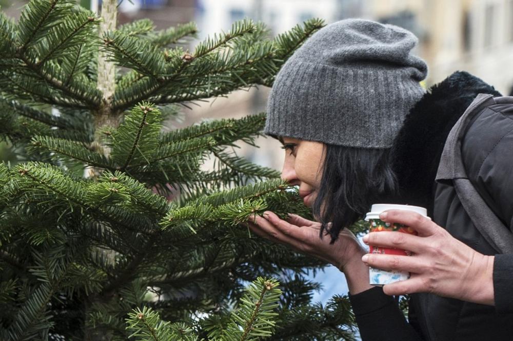 Novogodišnja jelka krije jednu mračnu tajnu! Da li možete da pretpostavite koju? (FOTO)