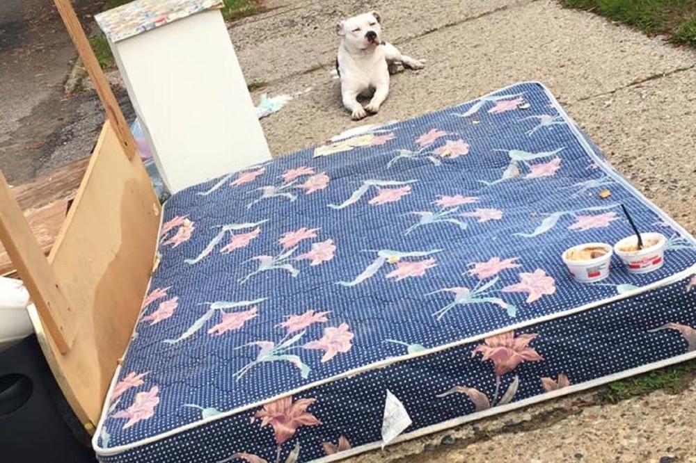 Porodica ga je zaboravila, a on ih je čekao mesec dana: Spas je stigao u poslednjem trenutku! (FOTO)