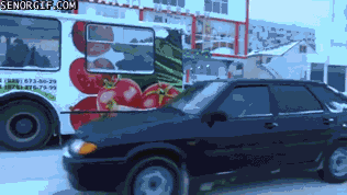 10 LUDIH sportova koji POSTOJE SAMO U RUSIJI! (FOTO) (GIF)