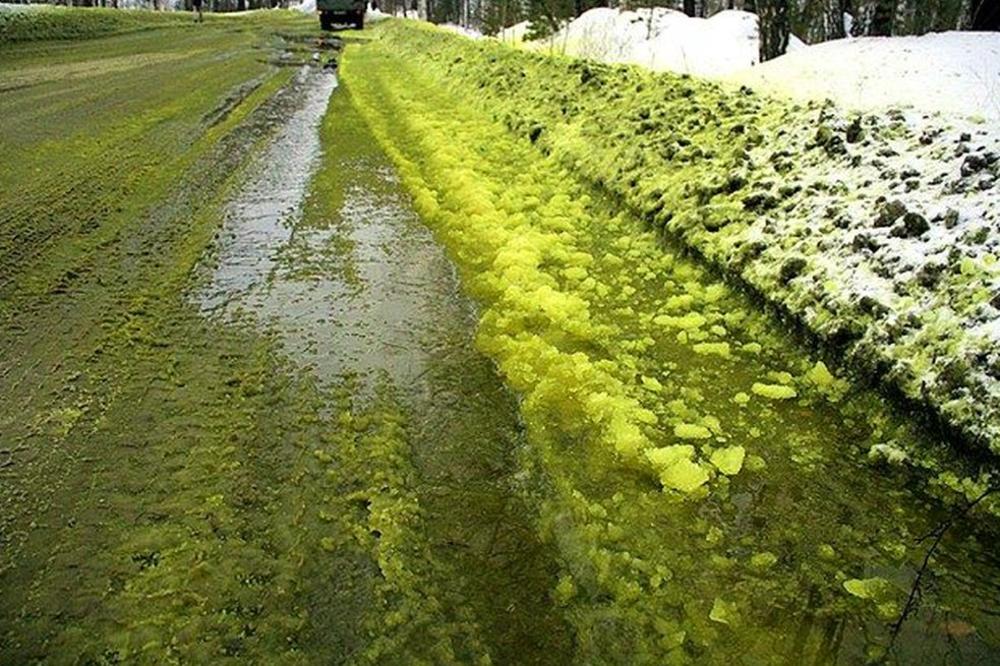 OVO SAMO U RUSIJI IMA: Nema šanse da provalite šta je ovo zeleno po ulicama! (FOTO) (VIDEO)