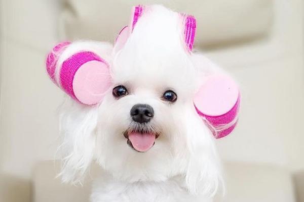 On VOLI SVOJ POSAO najviše na svetu, a mušterije GA PROSTO OBOŽAVAJU! (FOTO) (VIDEO)