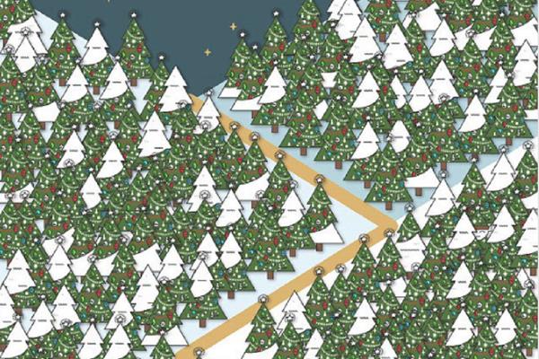 NOVOGODIŠNJA SKRIVALICA: U moru jelki se krije jedan patuljak! DA LI GA VIDITE? (FOTO)