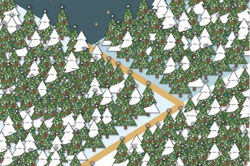 NOVOGODIŠNJA SKRIVALICA: U moru jelki se krije jedan patuljak! DA LI GA VIDITE? (FOTO)