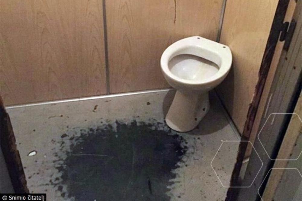 SEO NA WC ŠOLJU PA VIDEO OGROMNU STVAR KAKO IZLAZI IZ NJEGA: Držao je TO u rukama, zgradiće vam se! (FOTO)