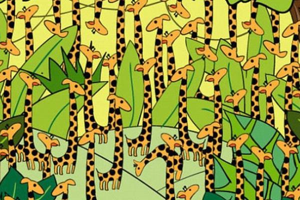 Koliko ste brzi? Vidite li ZMIJU MEĐU ŽIRAFAMA?