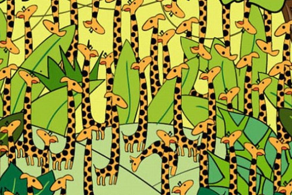 Koliko ste brzi? Vidite li ZMIJU MEĐU ŽIRAFAMA?