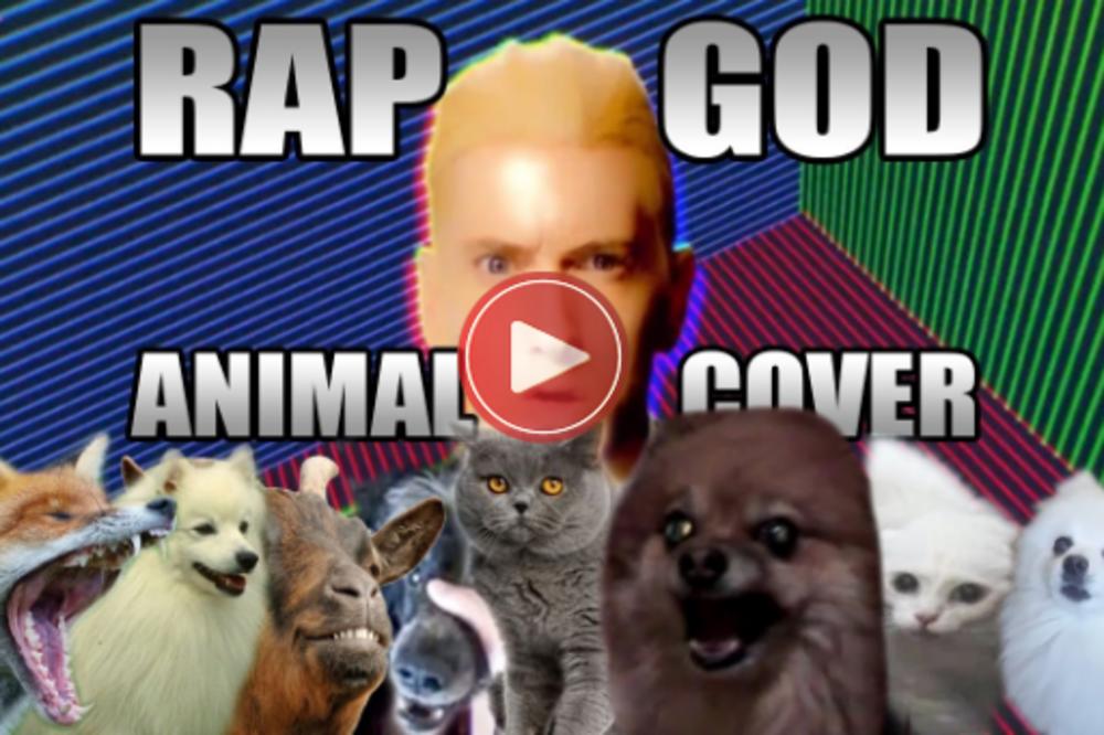 ŽIVOTINJE REPERI: Ništa smešnije nećete videti danas, U NAJAVI! (VIDEO)