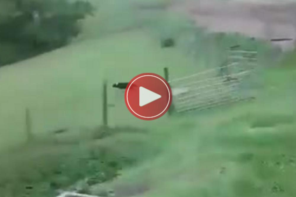 OVAJ PAS VREDI MILIJARDU DOLARA: Videćete i zašto! (VIDEO)