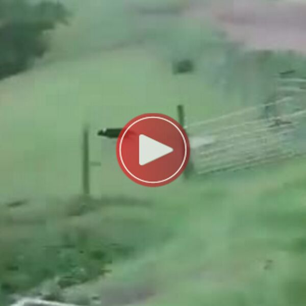 OVAJ PAS VREDI MILIJARDU DOLARA: Videćete i zašto! (VIDEO)