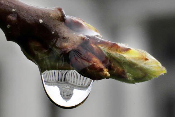 Ujutru mraz i magla, posle sunčano, najviša dnevna 14 stepeni!