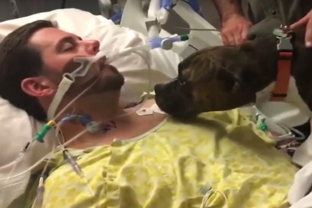 CEO SVET PLAČE: Ova verna kuca došla je u bolnicu da se oprosti od svog umirućeg gazde! (VIDEO)