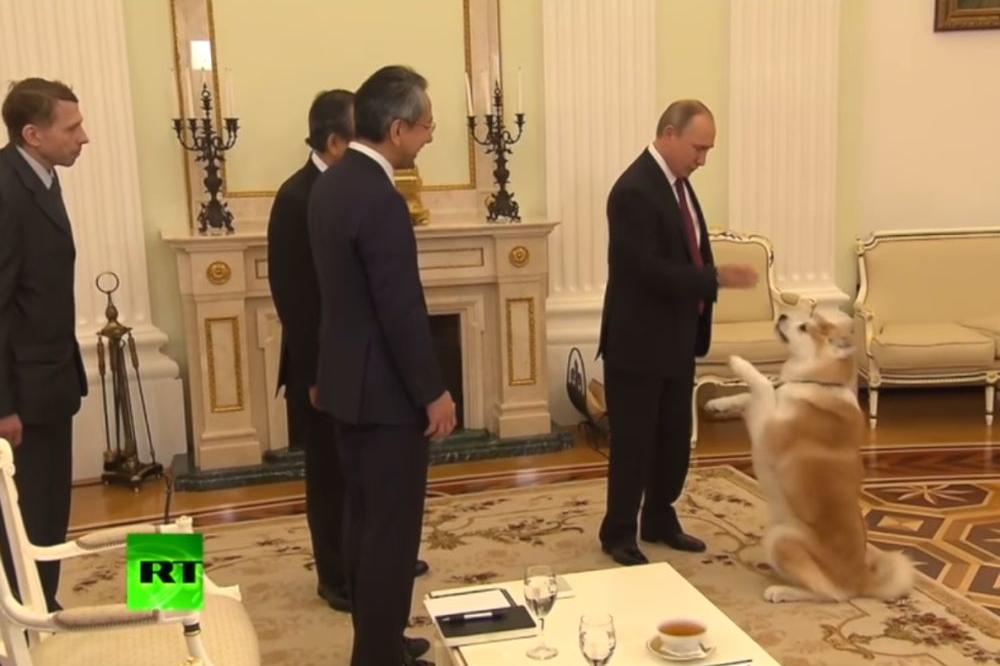 СТРАШНАЯ СОБАКА: Putinov PAS PREPLAŠIO japanske novinare! (VIDEO)