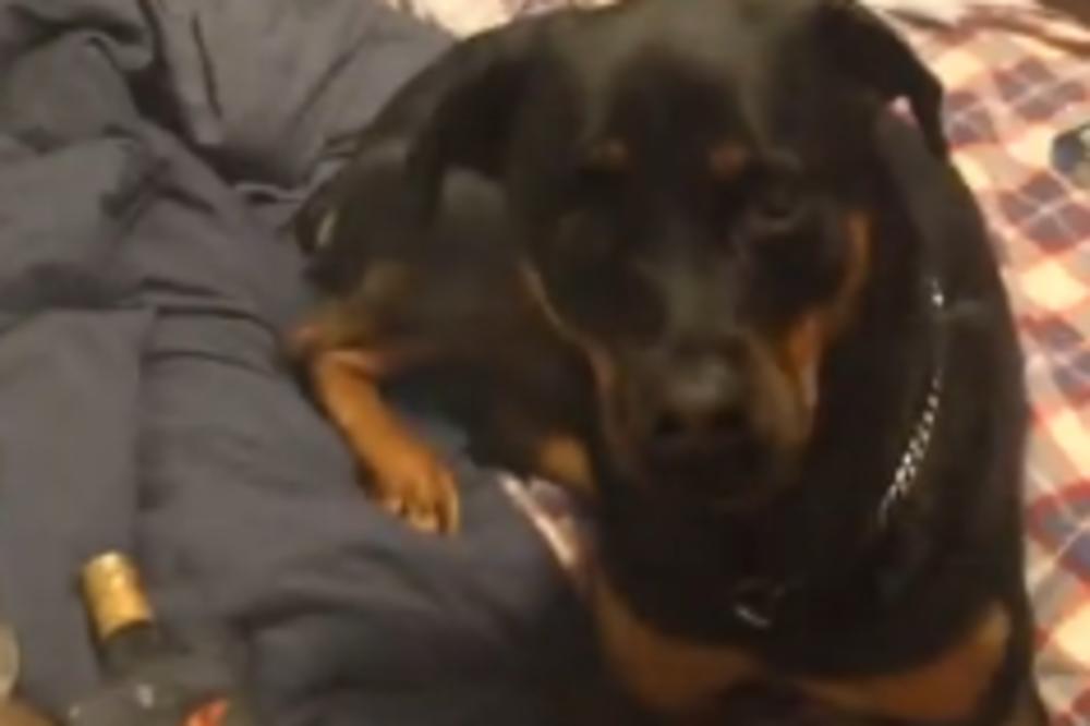 KOGA KRIVITI kada vam se ker navuče NA DROGU? (VIDEO)