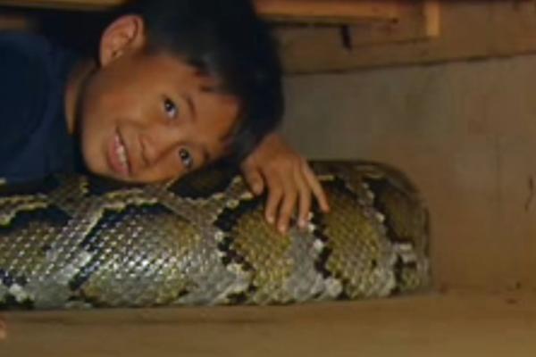 Kao beba je svake noći spavao sa zmijom, a 11 godina kasnije oni su najbolji prijatelji! (VIDEO)