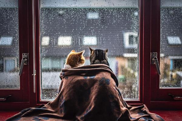 Dok dobuje kiša: Njihove fotografije su objasnile šta je romantika! (FOTO)