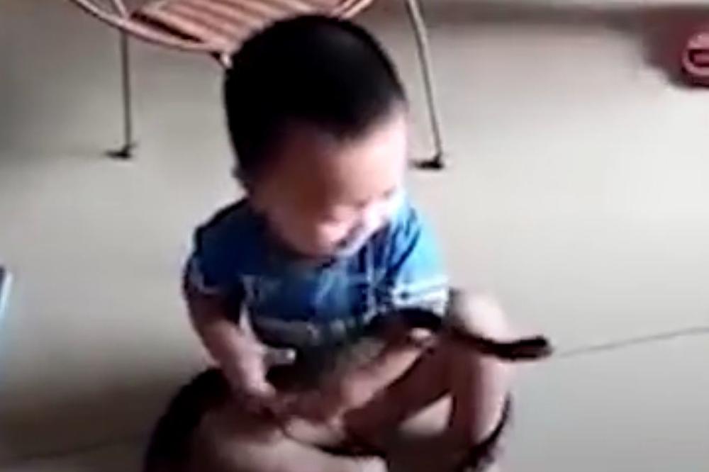 ŠTA LI ĆE TEK DA RADI KAD PORASTE: Šta zna klinja šta je zmija! (VIDEO)