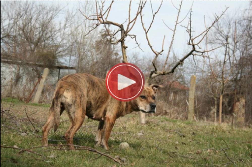 OVIH 20 FOTKI snimljeno je NA PRAVOM MESTU - U PRAVO VREME! (VIDEO)