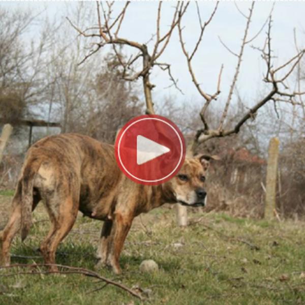 OVIH 20 FOTKI snimljeno je NA PRAVOM MESTU - U PRAVO VREME! (VIDEO)