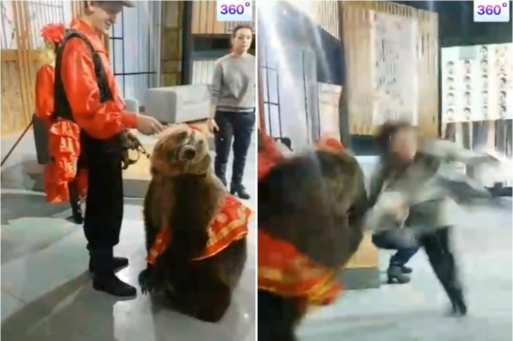 Evo zašto NIKAD ne treba da prilazite medvedu s leđa! (VIDEO)