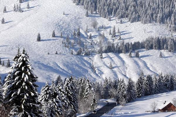 ČEKA NAS SIBIRSKA ZIMA! Srbija u debelom MINUSU, za Božić najhladniji dan ove godine! (FOTO) (GIF)