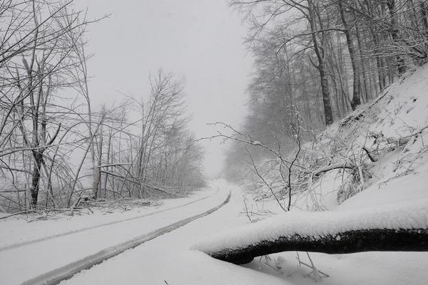 Evropski meteorolozi otkrili kakva će biti zima: Izneli vremensku prognozu, jedno posebno zabrinjava