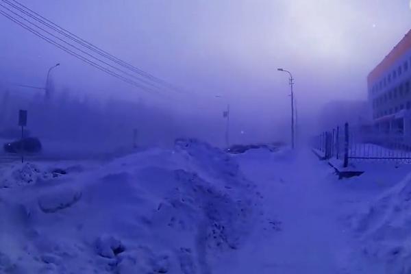 ISPOD LEDA U SIBIRU PRONAŠLI OČUVAN LEŠ STAR 18.000 GODINA: Naučnici ne znaju koja je ovo VRSTA (FOTO)