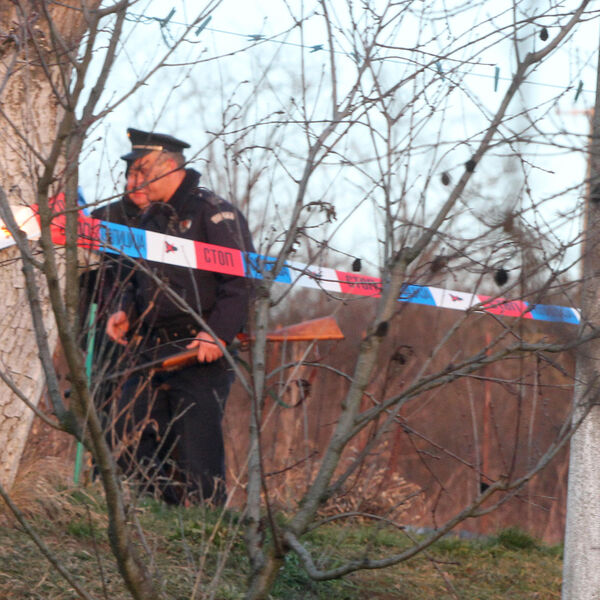 LOVAC NASTRADAO U LOVU NA DIVLJE SVINJE! Sačma ga pogodila kod Kamene Gore