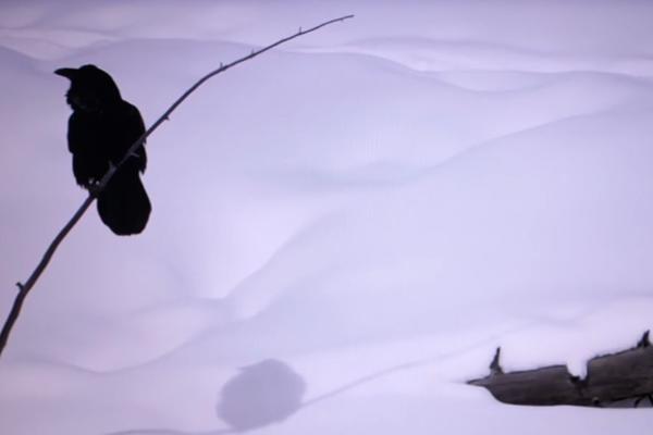 Isplaniraj mi dan: Novogodišnji singl benda Autopark (VIDEO)