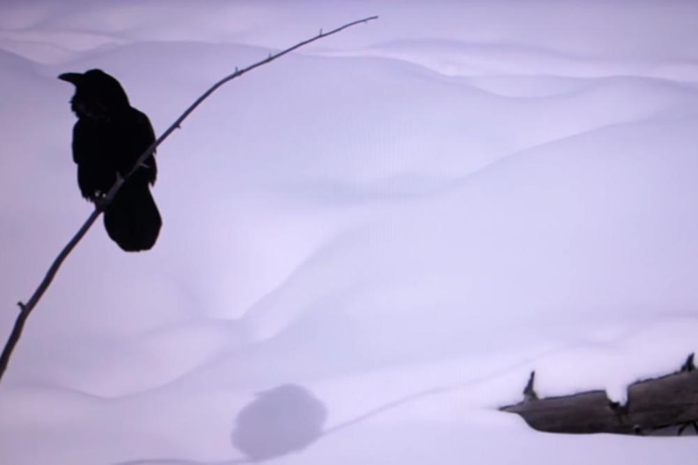 Isplaniraj mi dan: Novogodišnji singl benda Autopark (VIDEO)